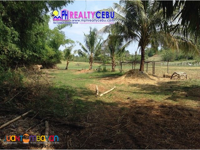 3.1 HECTARES AFFORDABLE FARM LOT IN SIATON, NEGROS ORIENTAL