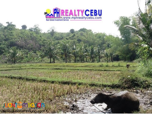 3.1 HECTARES AFFORDABLE FARM LOT IN SIATON, NEGROS ORIENTAL