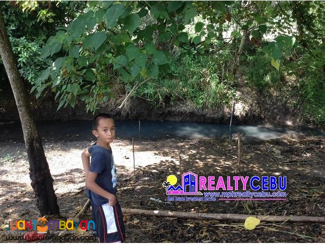 3.1 HECTARES AFFORDABLE FARM LOT IN SIATON, NEGROS ORIENTAL