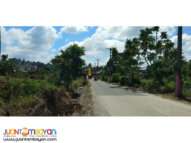 Residential Lots For Sale in Silang Cavite