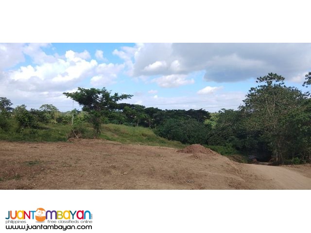 Villa Elijah II Lots For Sale in Silang Cavite