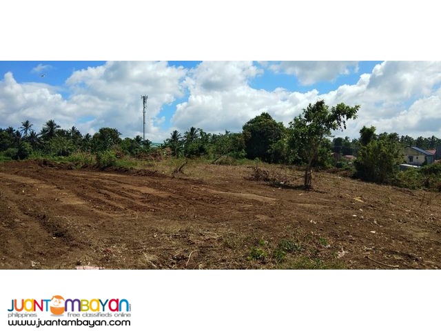 Villa Elijah II Lots For Sale in Silang Cavite