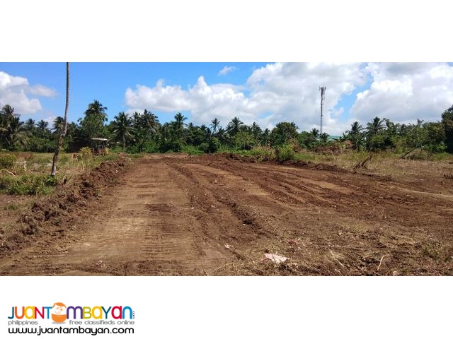 Villa Elijah II Lots For Sale in Silang Cavite