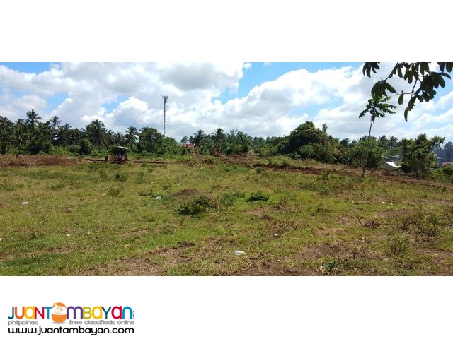 Villa Elijah II Lots For Sale in Silang Cavite