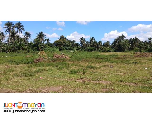 Villa Elijah II Lots For Sale in Silang Cavite