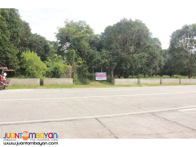 Lot Along Villasis-Malasiqui Road in Pangasinan