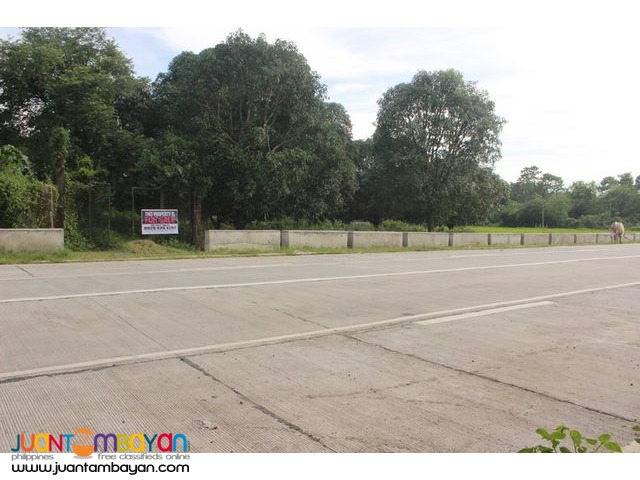Lot Along Villasis-Malasiqui Road in Pangasinan