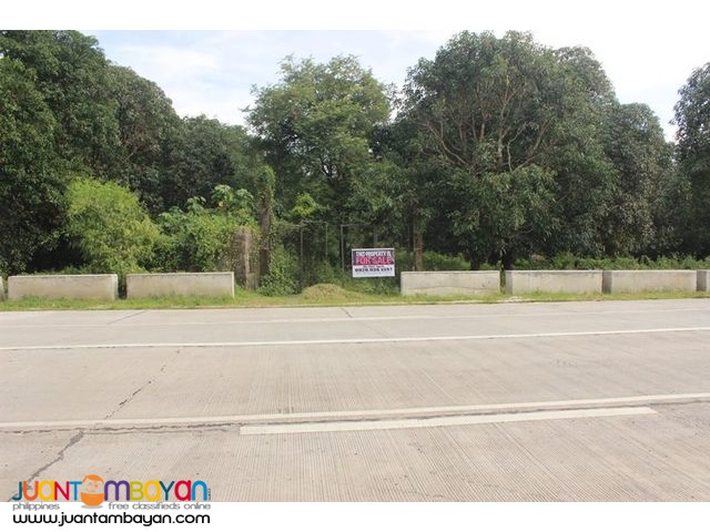 Lot Along Villasis-Malasiqui Road in Pangasinan