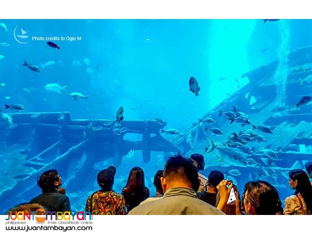 Singapore tour package w Universal Studios n SEA Aquarium