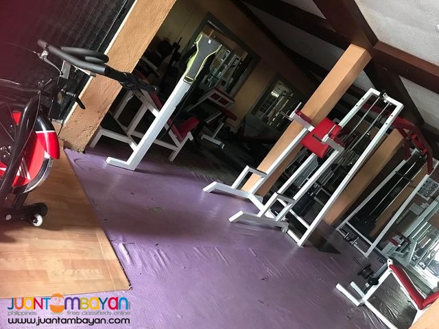 Second Hand Complete Gym Equipments Cabanatuan Lucinda Aber