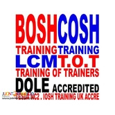 BOSH Training COSH Training SO3 Training LCM DOLE PCAB AMO STE