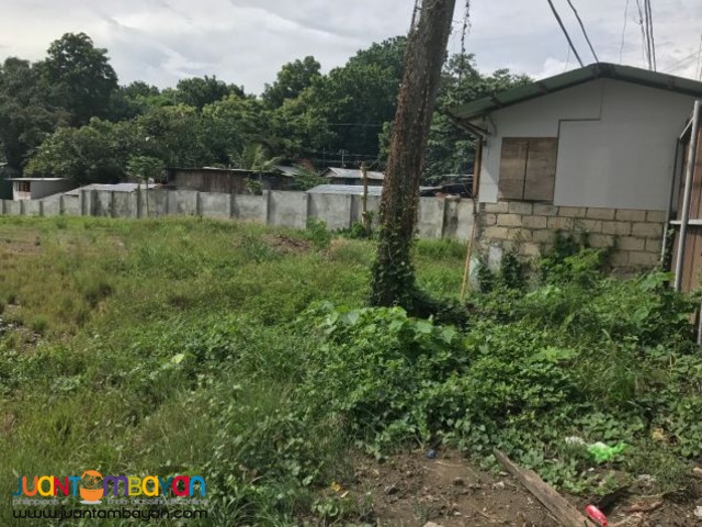 Commercial lot for sale or lease in Jagobiao, Mandaue City