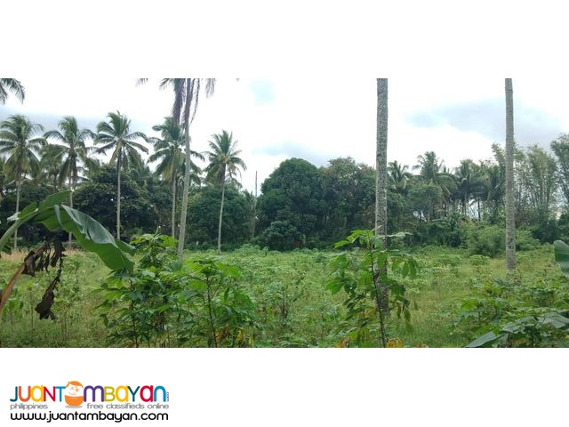 Farm lot near FEU Silang,pwede tayuan ng dormitory.