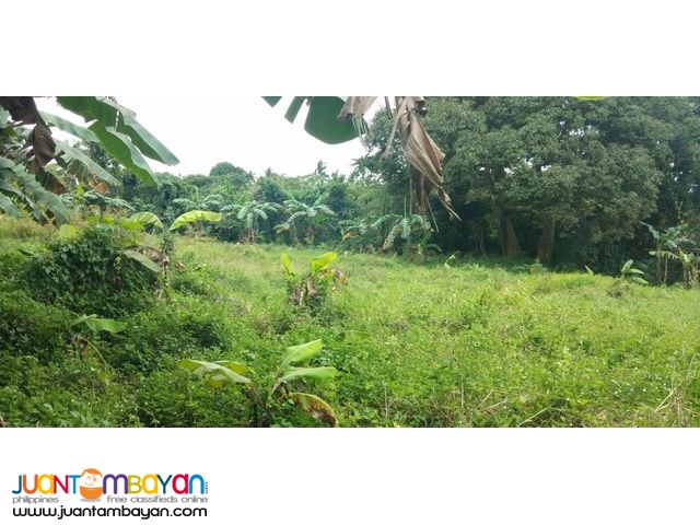 Farm lot near FEU Silang,pwede tayuan ng dormitory.