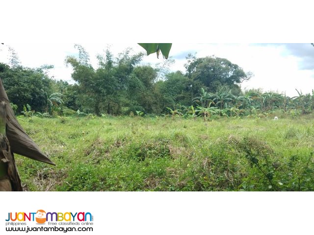 Farm lot near FEU Silang,pwede tayuan ng dormitory.