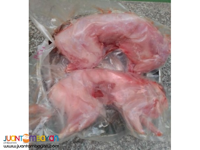  Try the Health Benefits of Nutritious Rabbit Meat