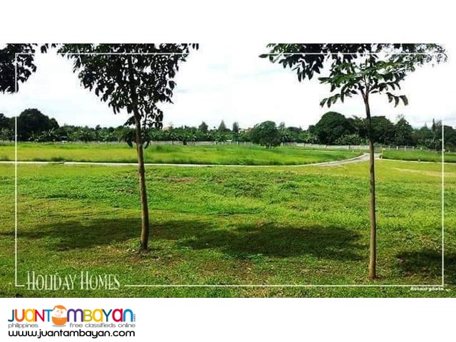 MAIN ROAD LOT for sale in Cavite near Tagaytay