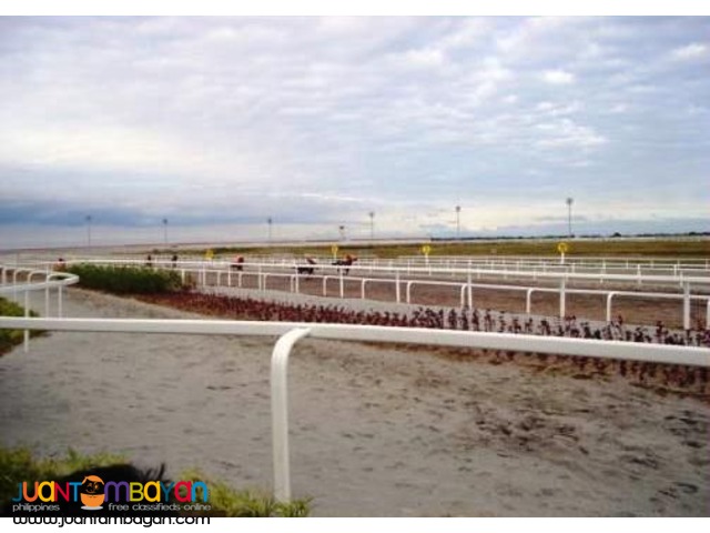 Lot for sale in Tanza Cavite Saddle and Clubs 