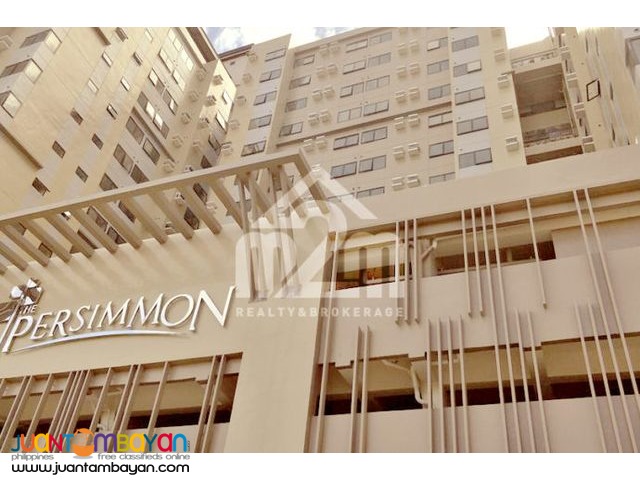 The Persimmon Studios(STUDIO UNIT) Mabolo, Cebu City