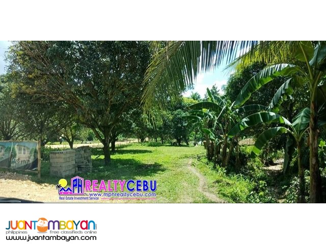 AFFORDABLE FARM LOT HACIENDA TERRA VERDE BALAMBAN CEBU