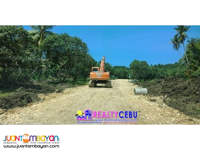 AFFORDABLE FARM LOT HACIENDA TERRA VERDE BALAMBAN CEBU