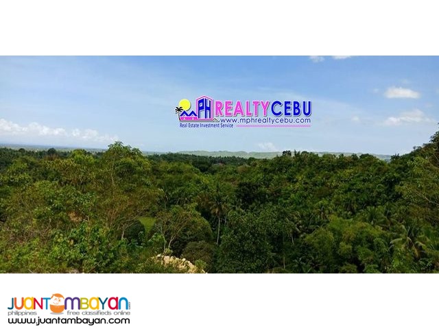 AFFORDABLE FARM LOT HACIENDA TERRA VERDE BALAMBAN CEBU