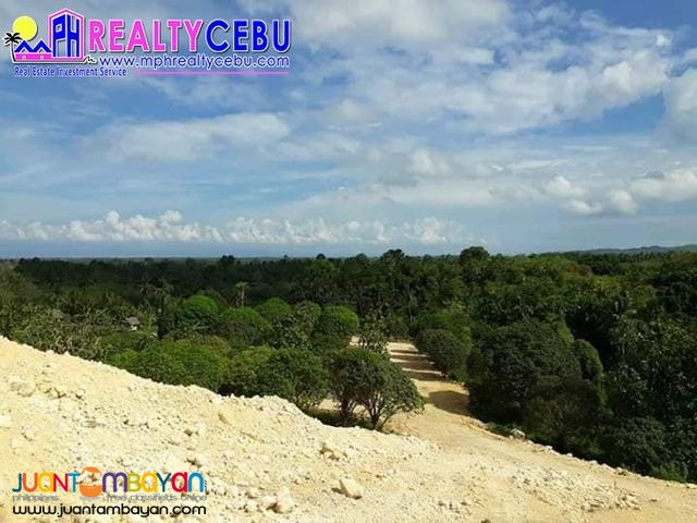 AFFORDABLE FARM LOT HACIENDA TERRA VERDE BALAMBAN CEBU