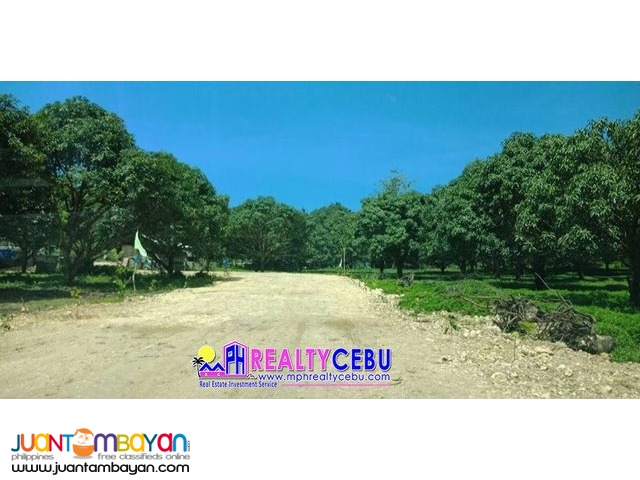 AFFORDABLE FARM LOT HACIENDA TERRA VERDE BALAMBAN CEBU