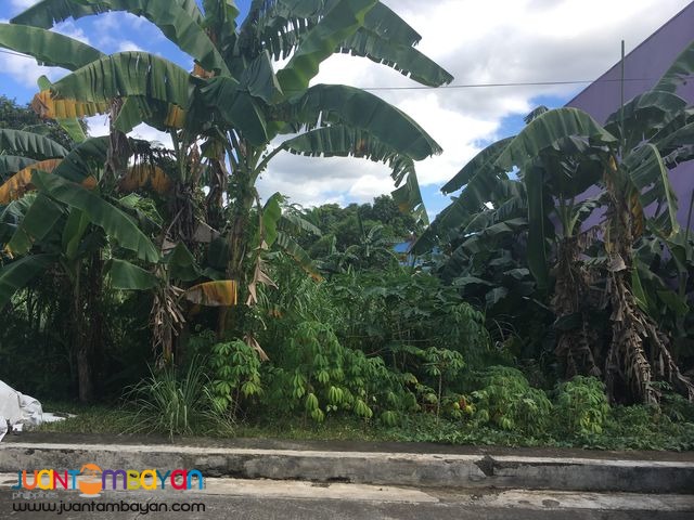 Lot for sale in Vista Verde Country Homes Cainta Rizal