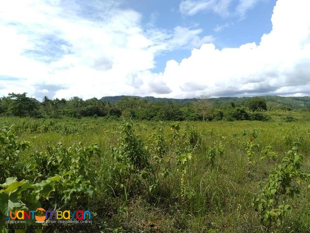 18 hectares farm land in boundary dagohoy and danao Town