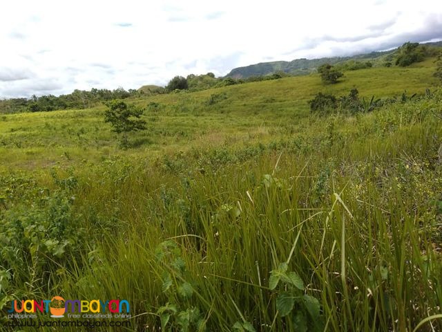 18 hectares farm land in boundary dagohoy and danao Town