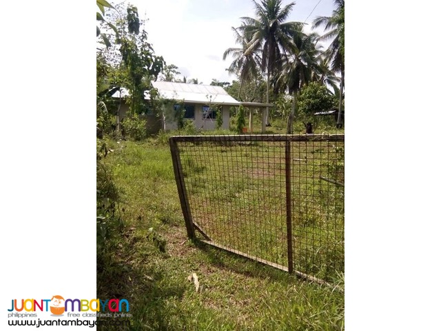 3,000 sqm house and lot with piggery in Trinidad bohol