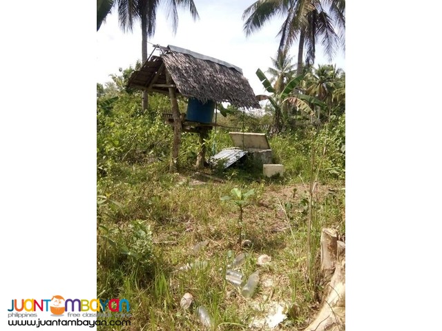 3,000 sqm house and lot with piggery in Trinidad bohol