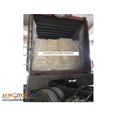 Cement Portland Type 1