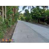 Lot for Sale in Brgy. Reserva, Baler, Aurora