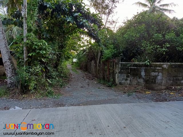 Lot for Sale in Brgy. Reserva, Baler, Aurora