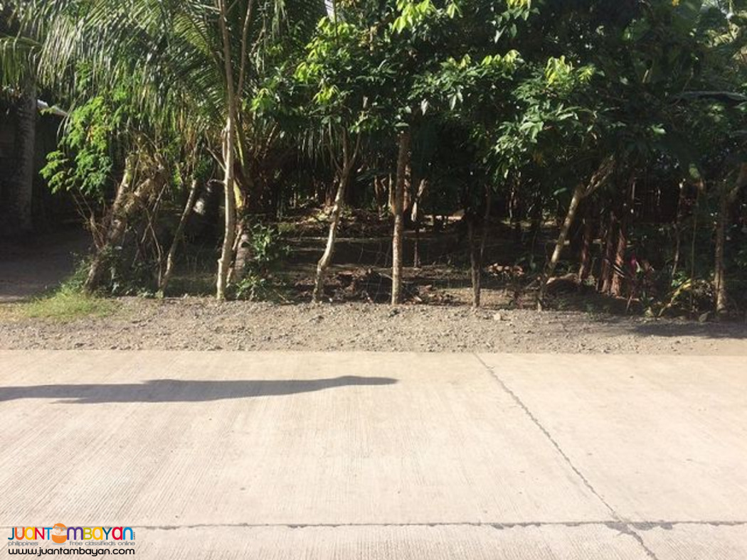 Lot for Sale in Brgy. Reserva, Baler, Aurora