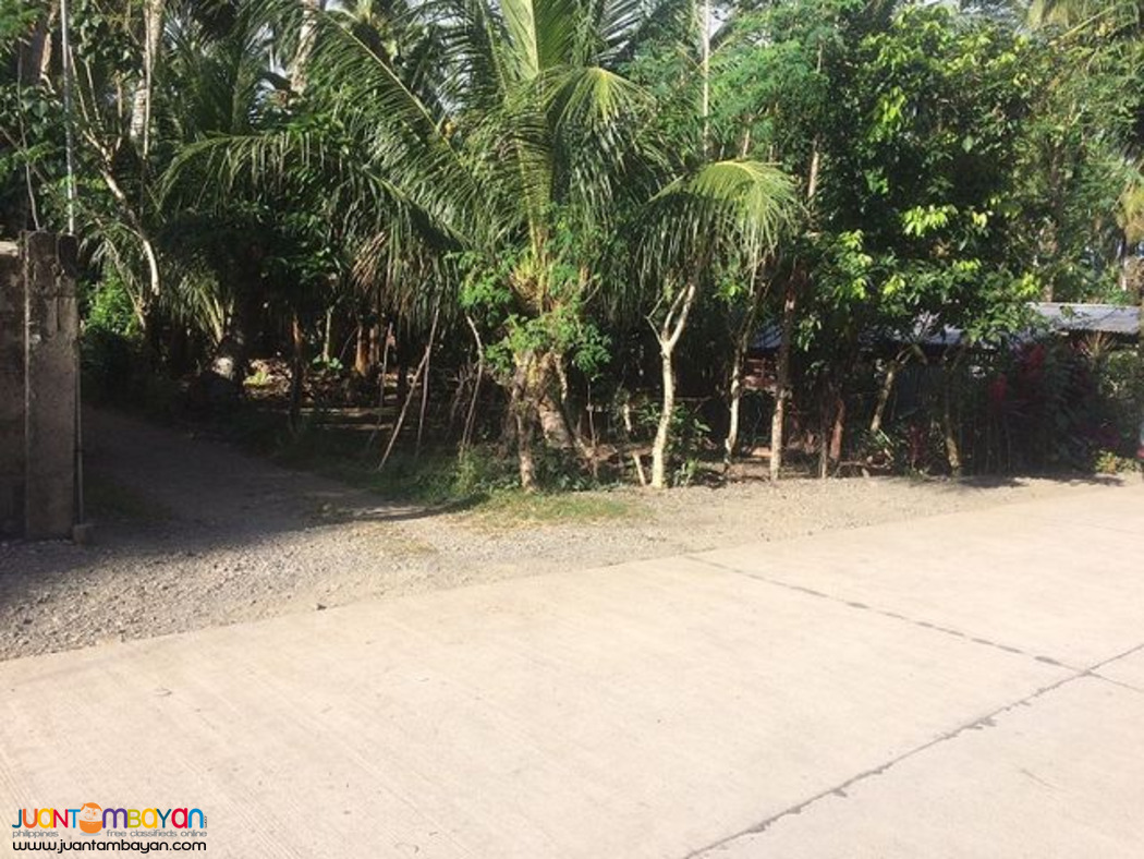 Lot for Sale in Brgy. Reserva, Baler, Aurora