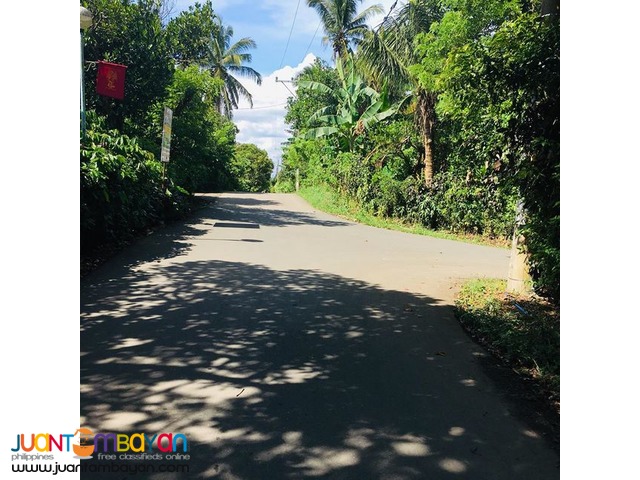Farm Lots For Sale in Alfonso Cavite, Clean Title