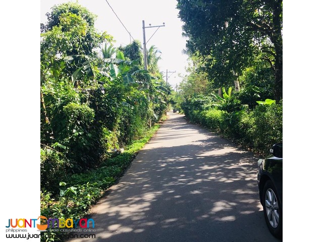 Farm Lots For Sale in Alfonso Cavite, Clean Title