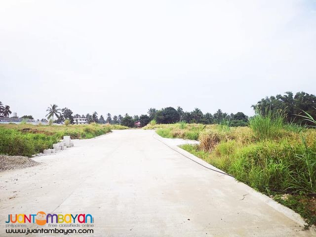 Lots For Sale Silang Cavite near Acienda Outlet