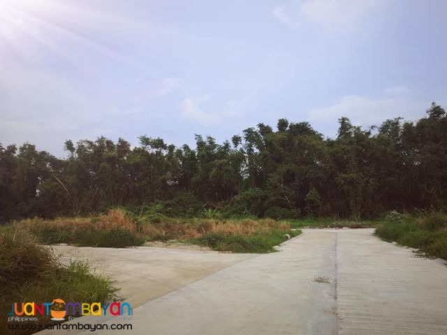 Lots For Sale Silang Cavite near Acienda Outlet