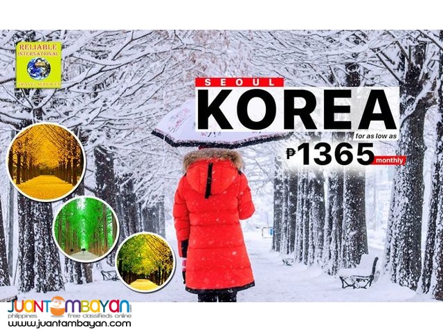 Korea Tour Package 