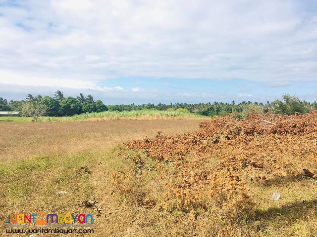 Lots for Sale in Alfonso,Cavite near Twin Lakes