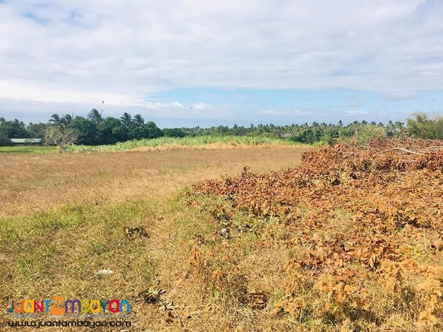 Lots for Sale in Alfonso,Cavite near Twin Lakes