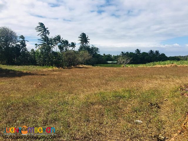 Lots for Sale in Alfonso,Cavite near Twin Lakes