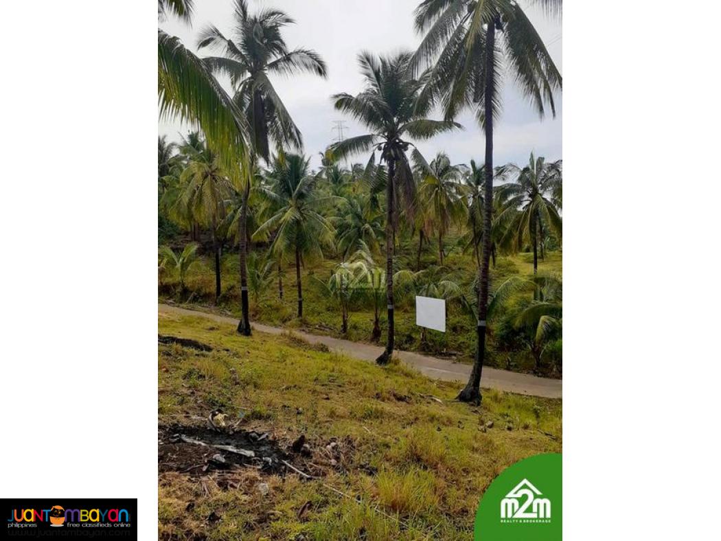 Breeze Highlands(LOT ONLY)Sogod, Cebu