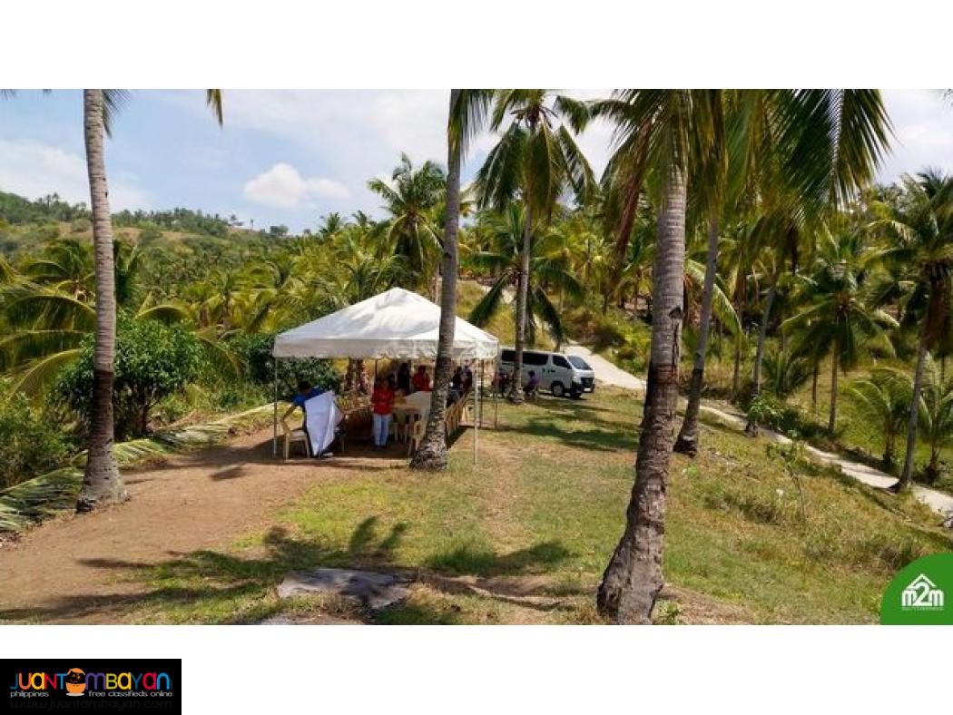 Breeze Highlands(LOT ONLY)Sogod, Cebu