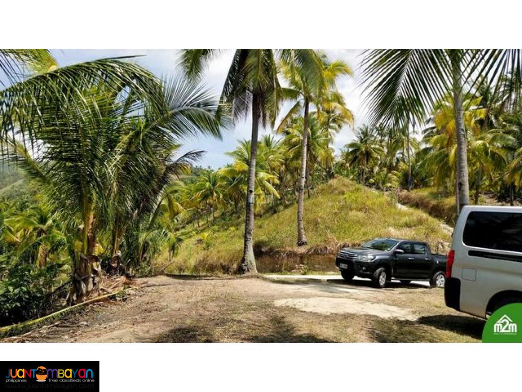 Breeze Highlands(LOT ONLY)Sogod, Cebu