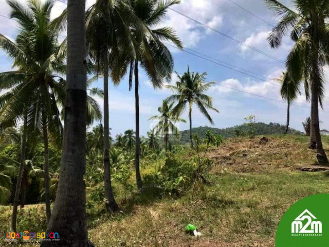 Breeze Highlands(LOT ONLY)Sogod, Cebu